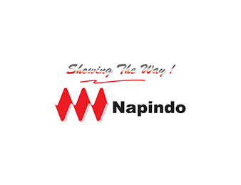 Napindo-1.png